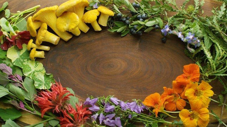 Field, Forest, Feast image