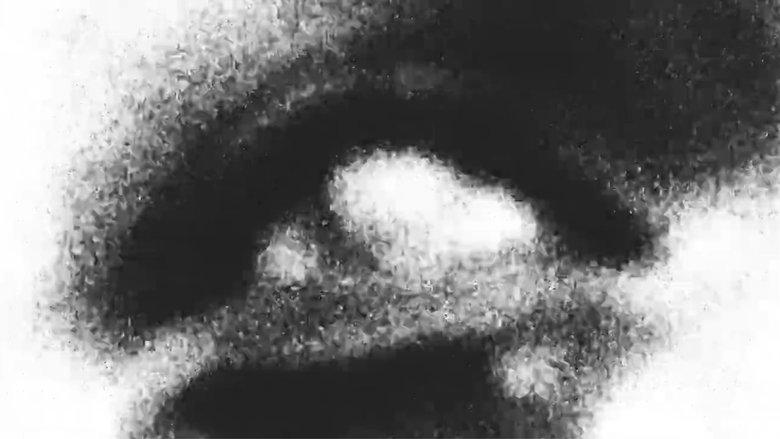 Sungazer image