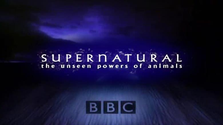 Supernatural: Unseen Power of Animals image