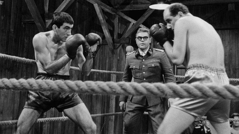 The Boxer and Death image