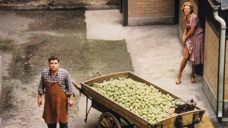 The Merchant of Four Seasons image