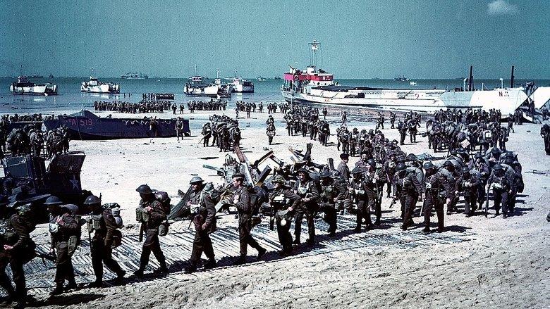 World War II: Total War image