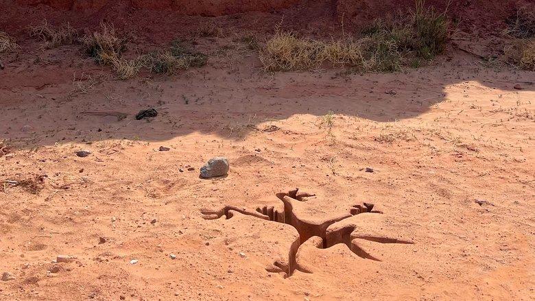 Coyote vs. Acme image