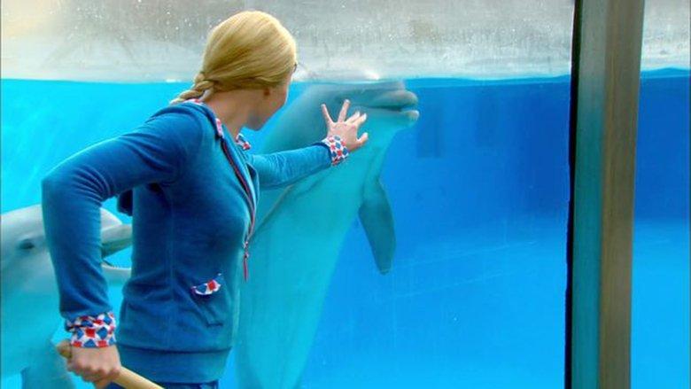 Mega Mindy: The Dolphin Robbery image