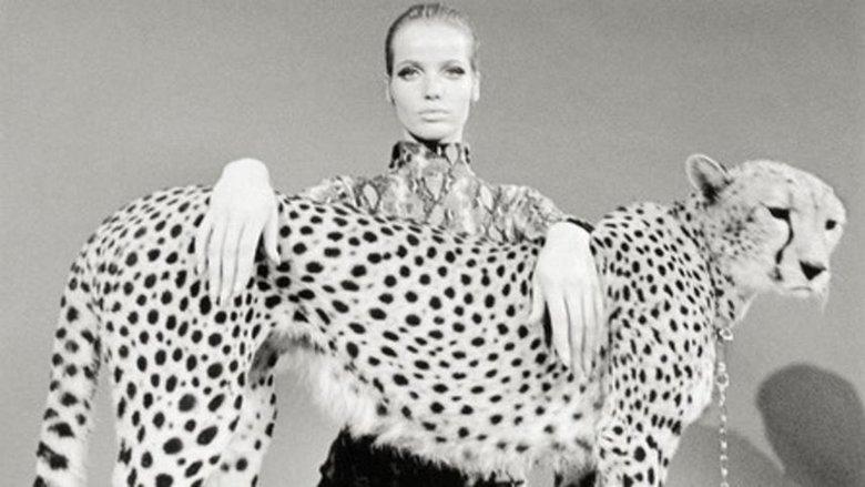 Veruschka - Poetry of a Woman image
