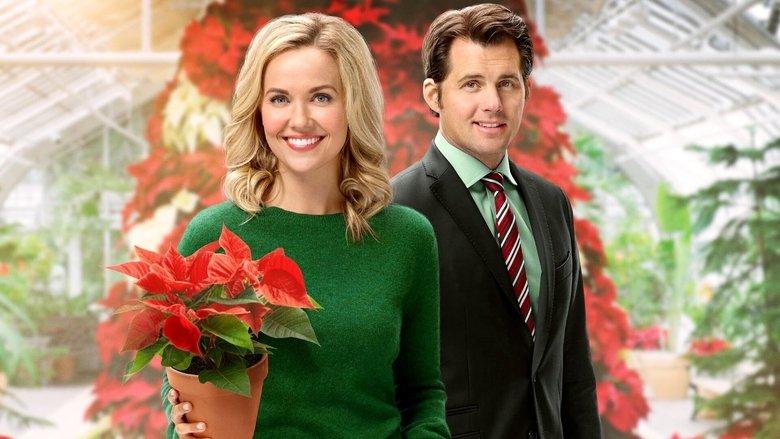 Hearts of Christmas image