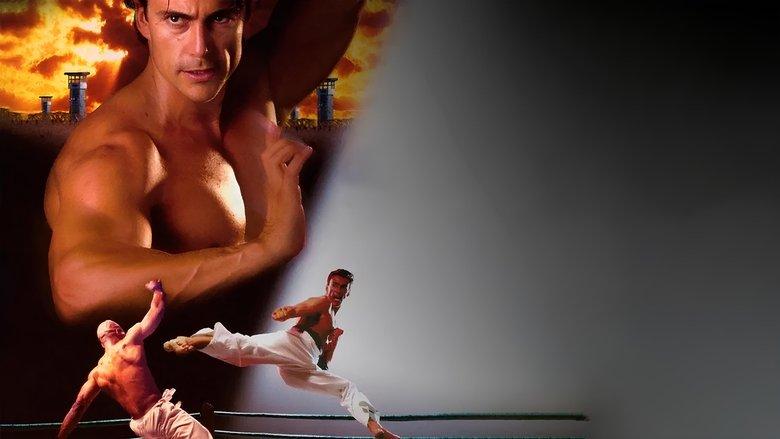 Bloodsport: The Dark Kumite image
