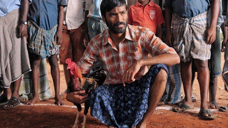 Aadukalam image