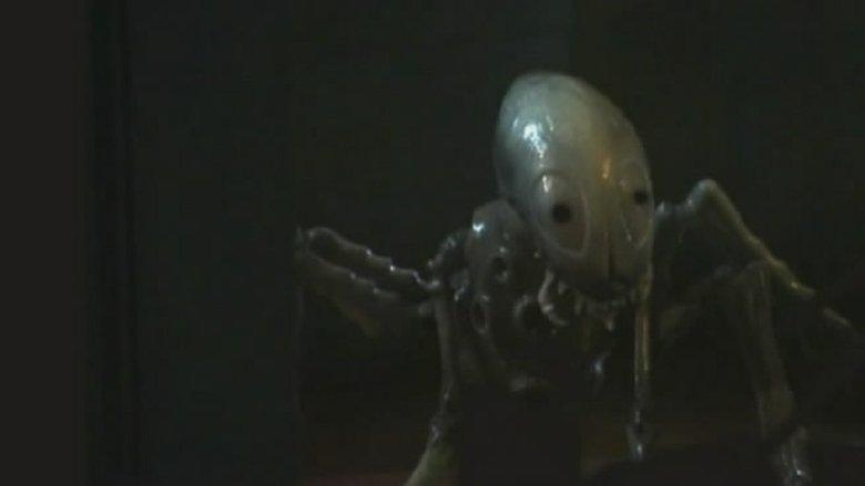 Blood Predator image