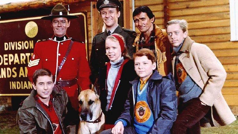 The Forest Rangers image