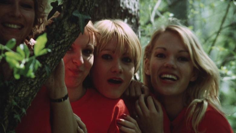 The Amorous Sisters image
