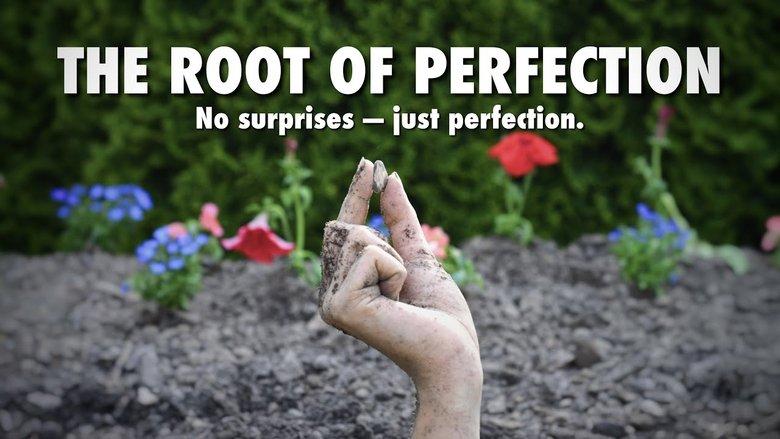 The Root of Perfection image