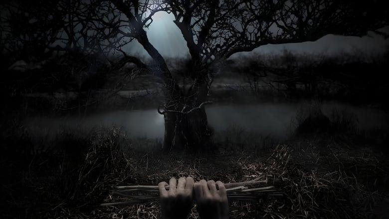 Stephen King's Kingdom Hospital image