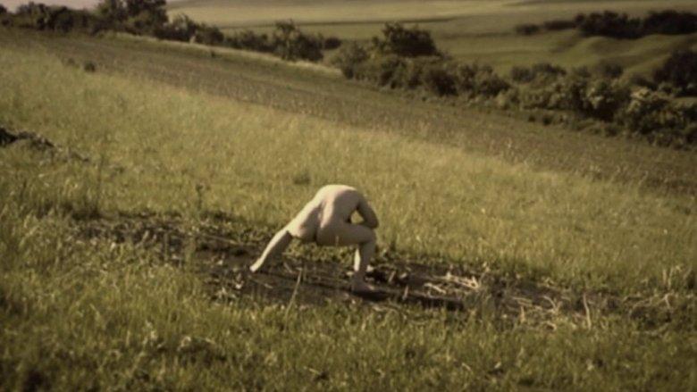 Debris Documentar image