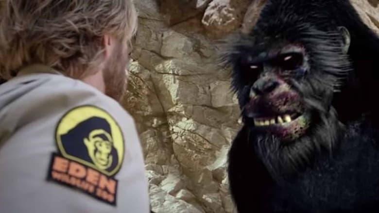 Zoombies image