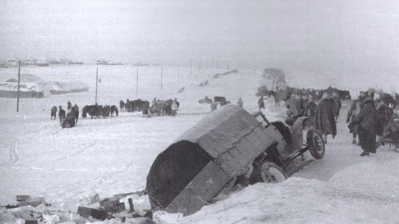 Stalingrad image