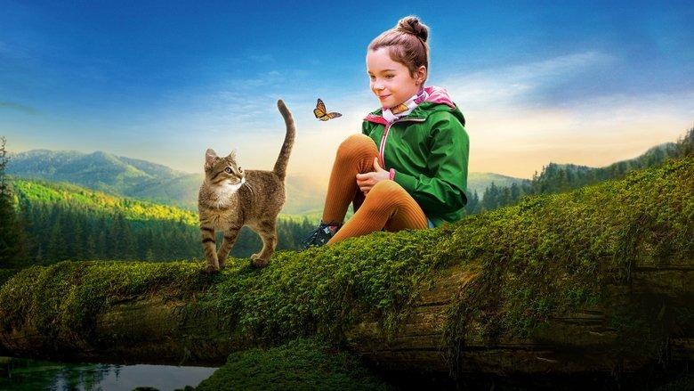 A Cat's Life image