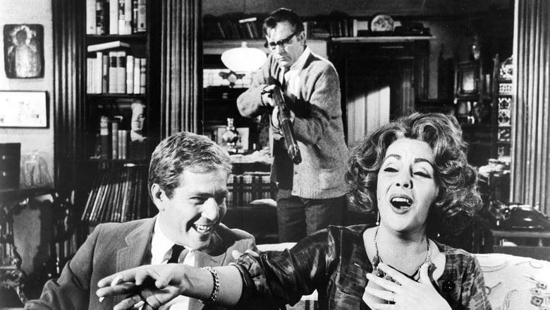 Who's Afraid of Virginia Woolf? image