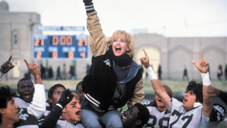 Wildcats image