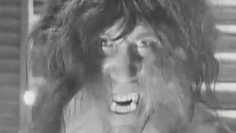 The She-Wolf image
