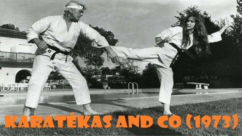 Karatékas and Co image