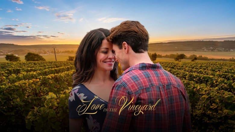 Love in the Vineyard image
