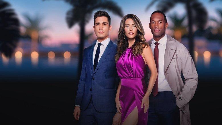The Bold and the Beautiful image