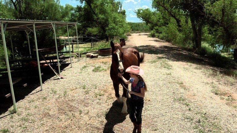 A Horse Story image
