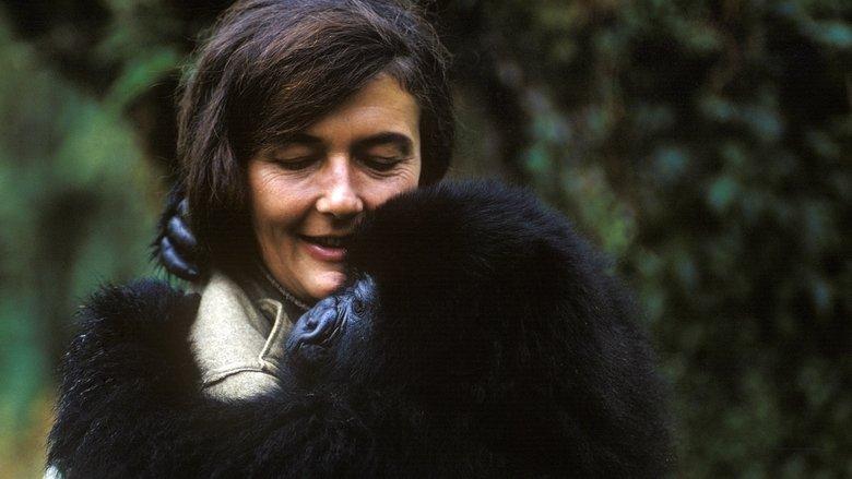 Dian Fossey: Secrets in the Mist image