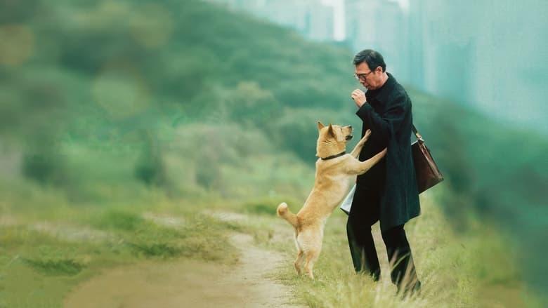 Hachiko image