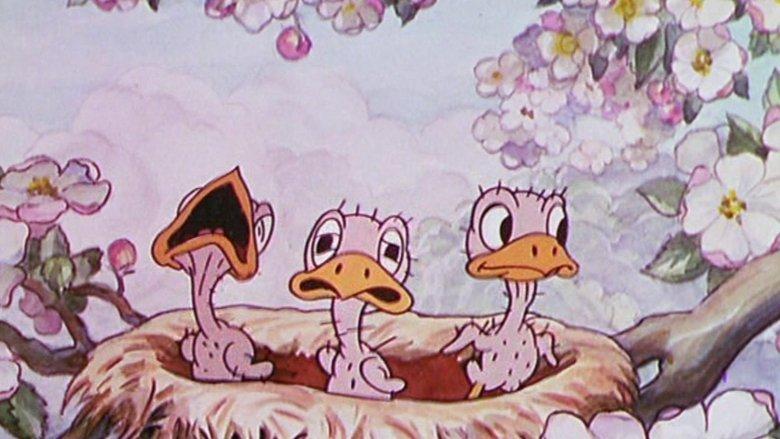 Birds in the Spring image