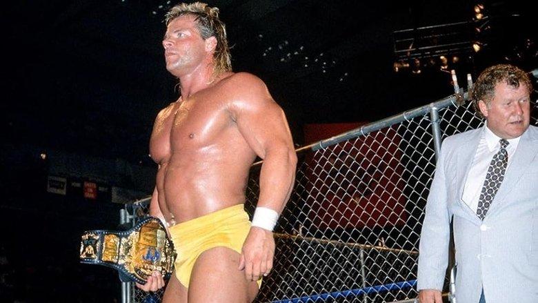 WCW The Great American Bash 1991 image