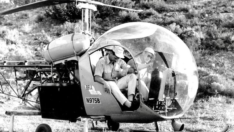 Whirlybirds image