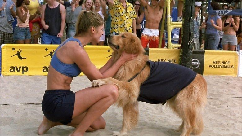 Air Bud: Spikes Back image