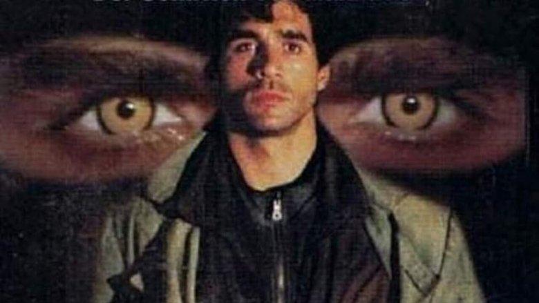 The Owl image