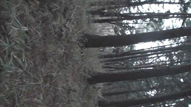 Cursed Local Urban Legends: Hokkaido & Tohoku Edition image