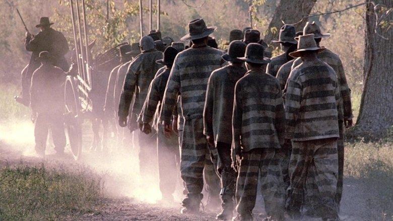 Convicts image