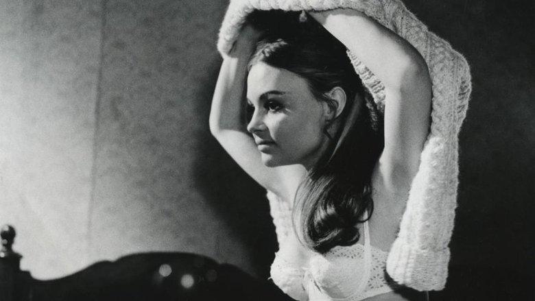 The Dreamers image