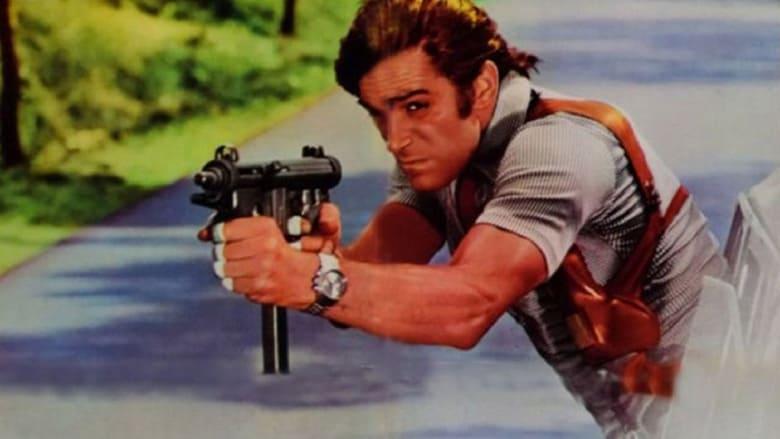 The Hired Gun image