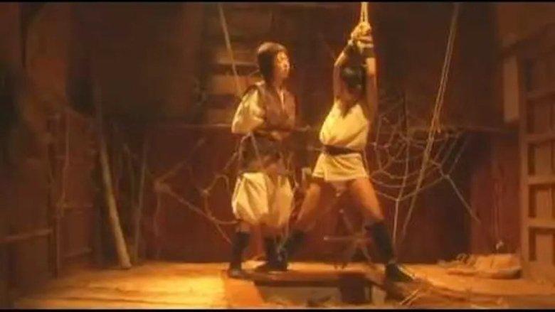 Lady Ninja Kasumi 6: Yukimura Assasination image