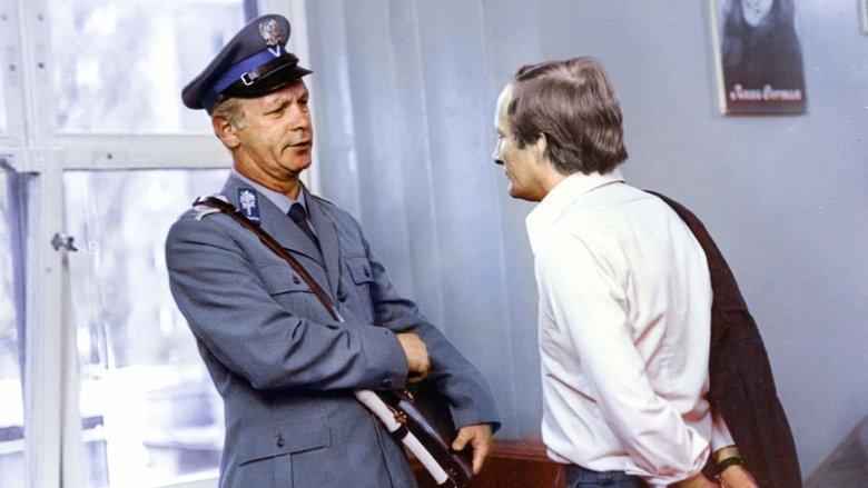 Convicted image