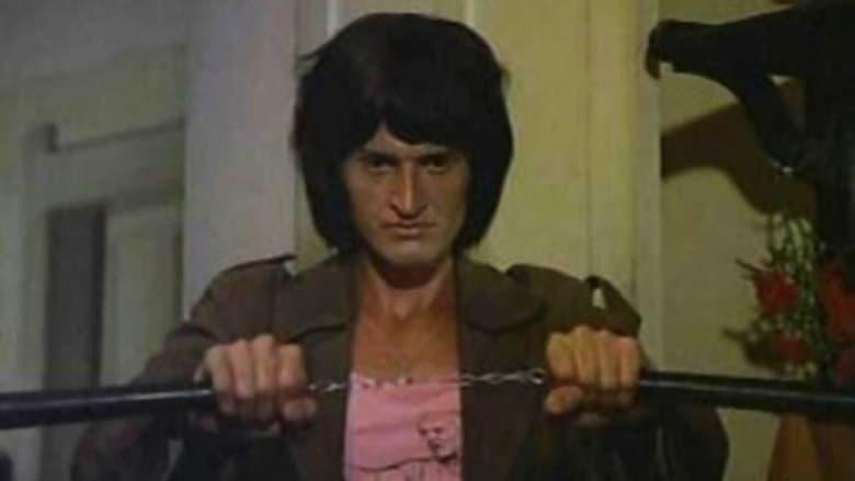Bruce Lee Versus Gay Power image