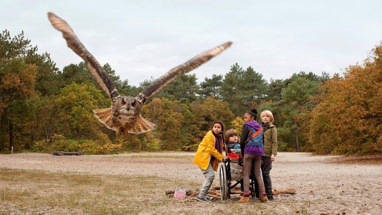 Owls & Mice image