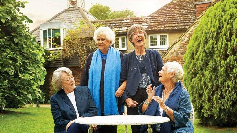 Nothing Like a Dame image