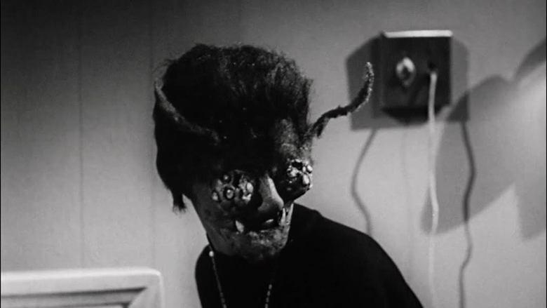 The Wasp Woman image