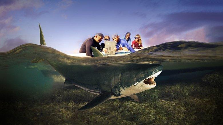 Shark Attack Files image