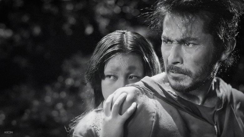 Rashomon image