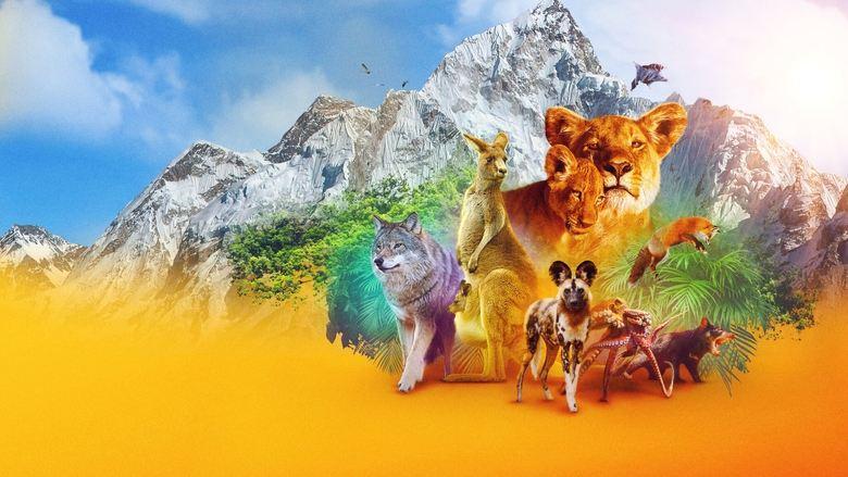 Animal image