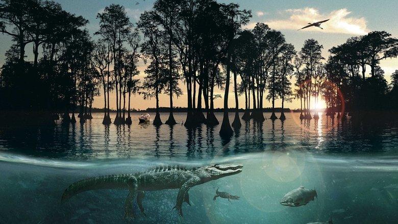 Hurricane on the Bayou image