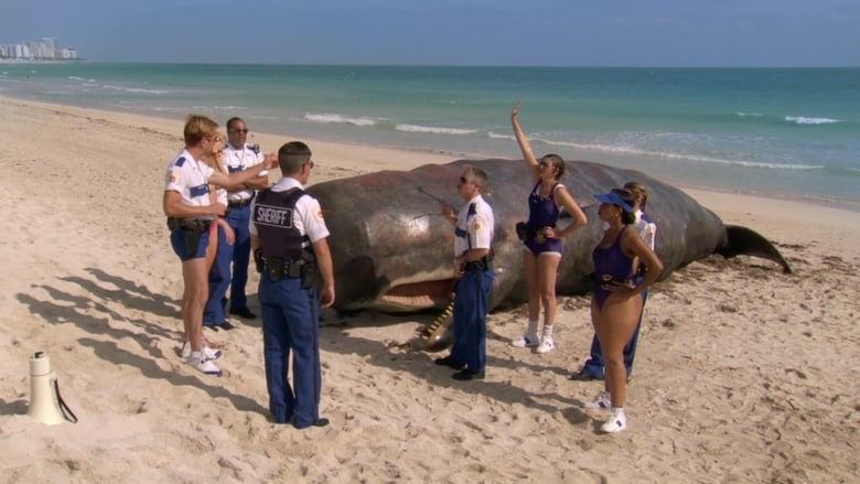 Reno 911!: Miami image